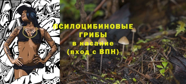 дмт Абдулино