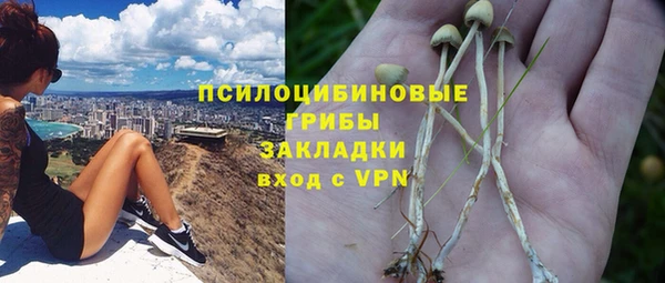 тгк Абинск