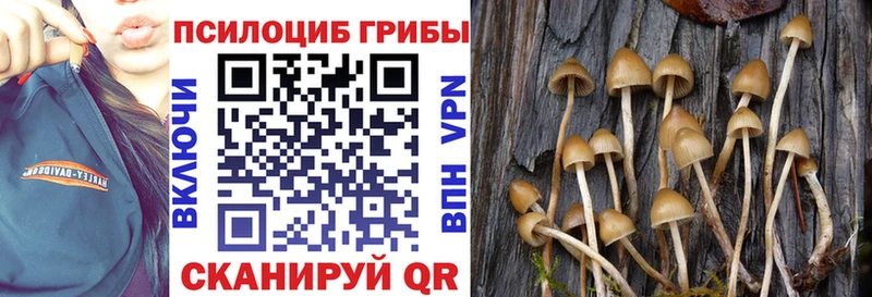 Псилоцибиновые грибы GOLDEN TEACHER  Черногорск 